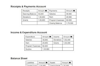 prepare accounts and audit working papers for ngo,trusts,npo