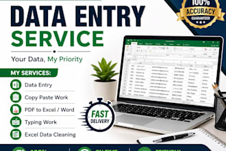 do fast and reliable data entry services