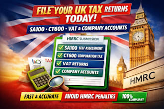 file sa100, ct600, vat returns and company accounts