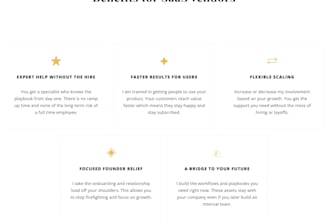 provide fractional customer success or program management