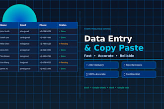do fast and accurate data entry and copy paste work