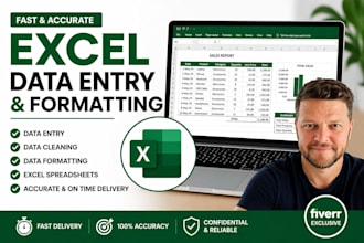 do excel data entry and spreadsheet data entry