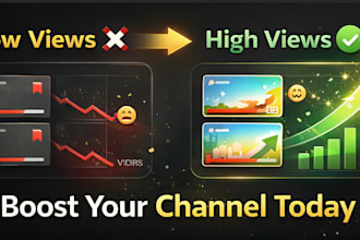 youtube growth expert SEO optimization channel management