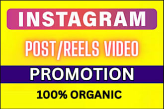 organic facebook and instagram reels promotion, with organic video promotion