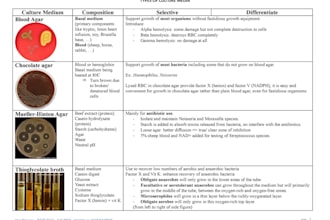 do pdf to word data conversion
