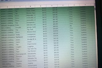 ill do the data entry for you