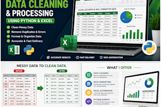 clean excel data, remove duplicates and format professionally