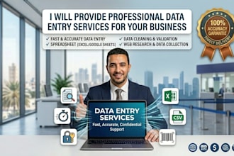 do financial data entry, organize excel reports and clean your data