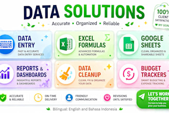 do excel data entry, cleanup, and google sheets work