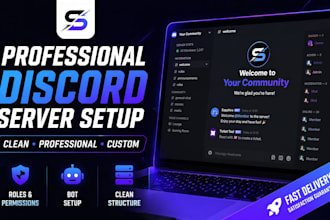 create a professional discord server with roles and bots