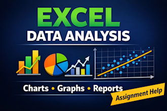 do microsoft excel assignments, projects and tasks
