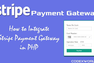 do stripe integration, api integration, payment gateway, paypal, webhook setup