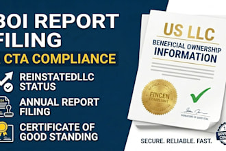 file your boi report and ensure cta compliance for your US llc