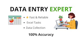excel data entry and organize your data