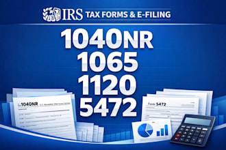 prepare and efile irs 1040nr, 1065, 1120, 5472 for non residents and US llcs