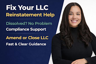 help with llc reinstatement, amendment, dissolution and compliance issues