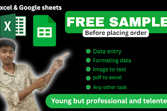accurate data entry and data cleaning excel and spreadsheet