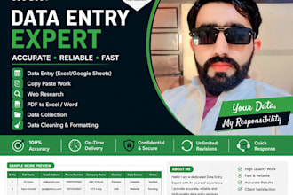 professional data entry expert skilled in excel copy paste