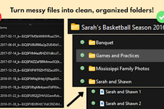 organize, rename, and tidy up your files