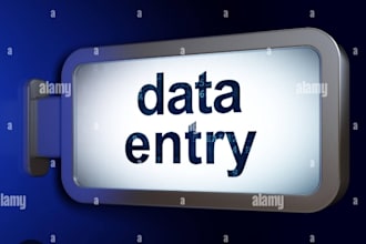 do data entry, excel work and sap mm tasks