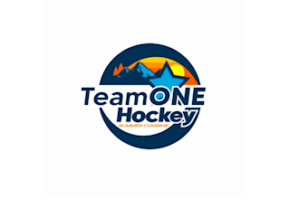 design team one hockey summer combine camp logo