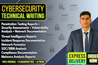 do cyber security projects and technical writing