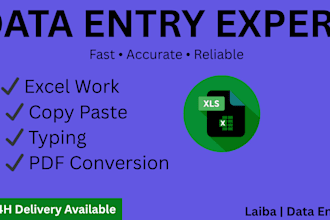 do fast data entry, copy paste, excel work and typing jobs