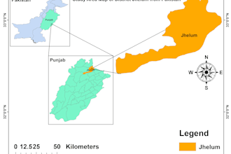 do advance mapping of vector data and spatial data also