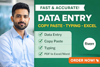 do fast data entry, copy paste, typing and excel work