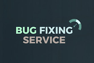 fix bugs in your website or backend