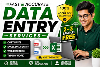 do accurate data entry, excel work and copy paste fast