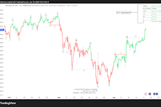 code custom tradingview pine scripts