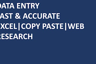 do accurate data entry, copy paste, and excel tasks
