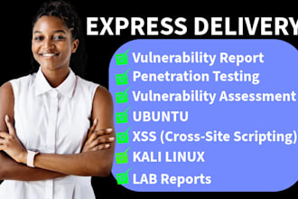 do lab penetration testing, vulnerability assessment with report