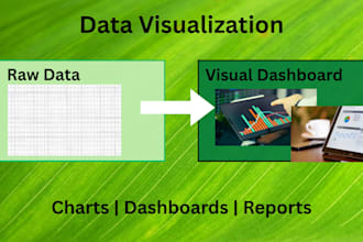 do professional data visualizations, charts, and dashboards