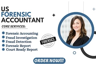 do cpa forensic accounting, fraud investigation, financial audit, asset tracing