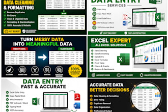excel data entry,data cleaning,data formatting