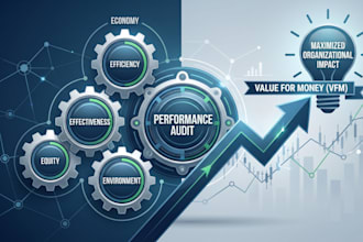 perform a internal audit and value for money performance