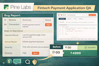 test your fintech app, payment website and provide QA bug report
