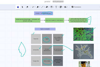 provide professional science tutoring with clear explanations