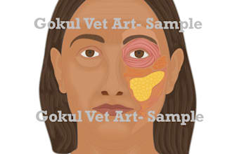 create clinically accurate human anatomy and surgical illustrations