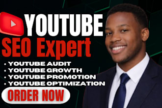 do youtube video SEO promotion manage and channel growth optimization