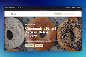 be your vibe coding expert for custom website web application development