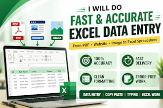 do fast and accurate data entry, copy paste and typing work