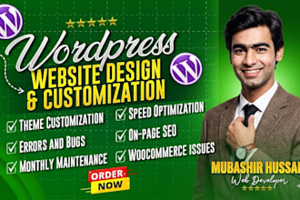 fix wordpress bugs, errors, issues and speed optimization