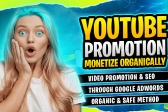 highly targeted youtube video promotion for more views and growth