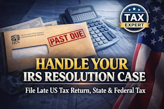 handle your irs resolution case, file late us tax return, state and federal tax