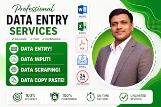 data input, data scraping, data copy paste and data cleaning
