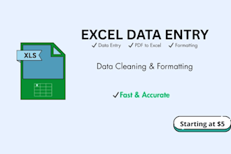sheets or excel data cleaning formatting and data entry