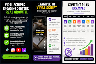 write scripts and manage your content